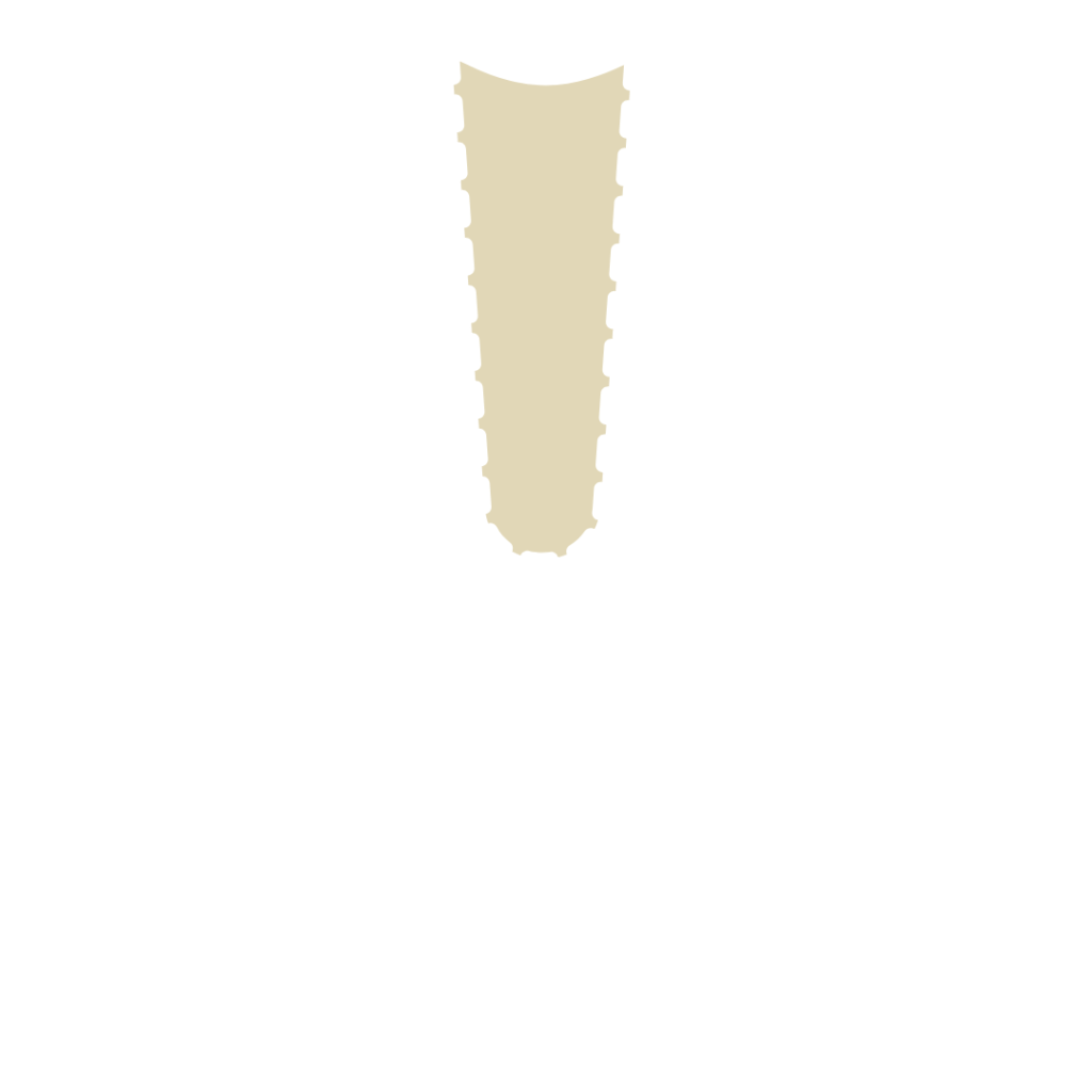 Endodonzia
